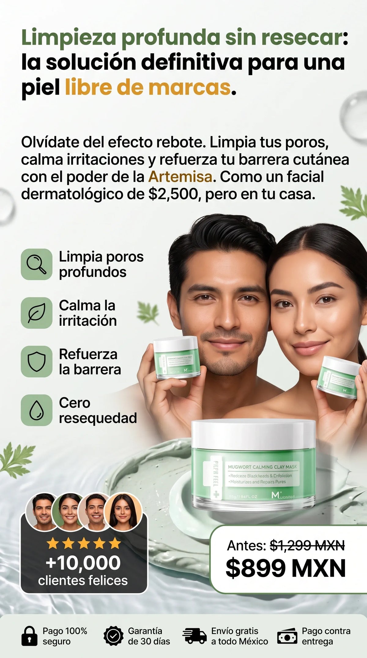 Mascarilla Purificante de Artemisa Papa Feel®